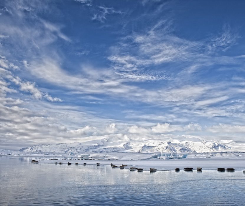 Arnanes country hotel - Visit Vatnajökull