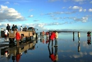 Ingólfshöfði - Visit Vatnajökull