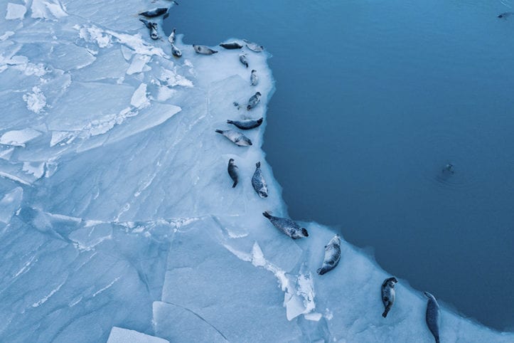 Glacier Walk on Vatnajökull Glacier